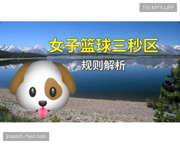 详细解读篮球三秒区规则具体条款内容与违例判罚情形